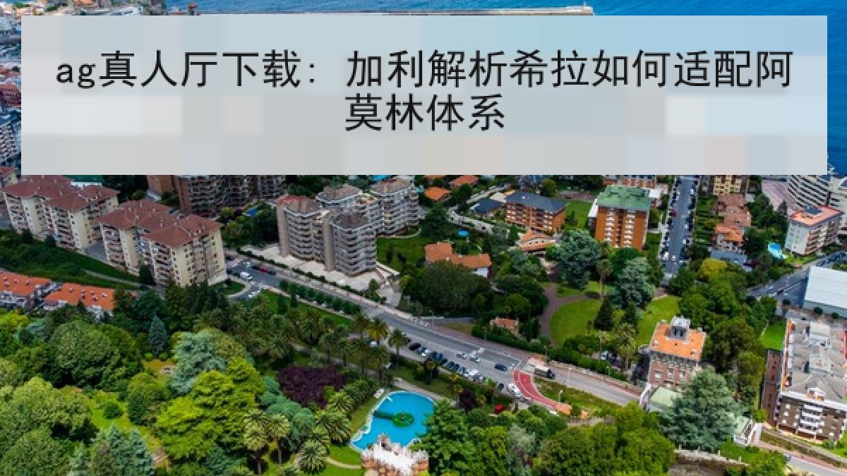 ag真人厅下载: 加利解析希拉如何适配阿莫林体系