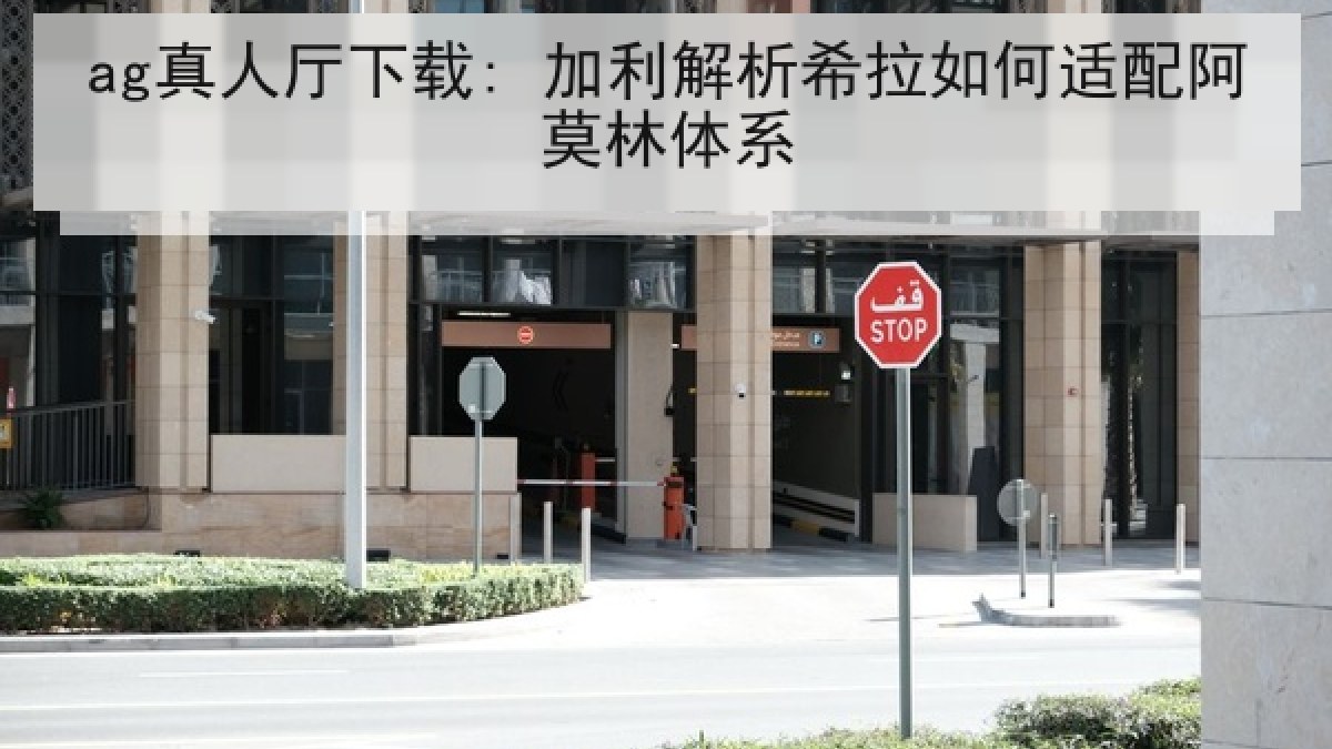 ag真人厅下载: 加利解析希拉如何适配阿莫林体系