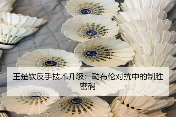 王楚钦反手技术升级：勒布伦对抗中的制胜密码