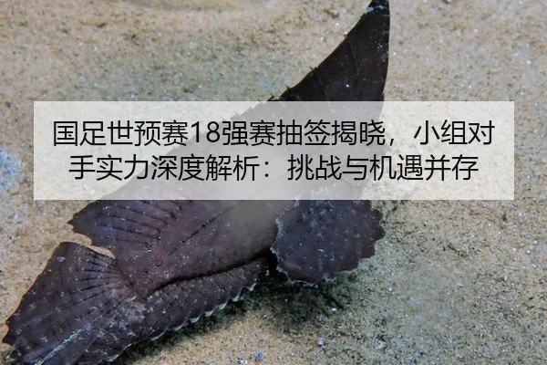 国足世预赛18强赛抽签揭晓，小组对手实力深度解析：挑战与机遇并存