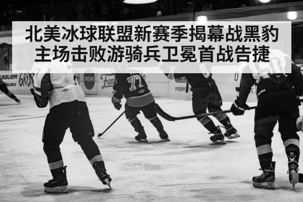 北美冰球联盟新赛季揭幕战黑豹主场击败游骑兵卫冕首战告捷
